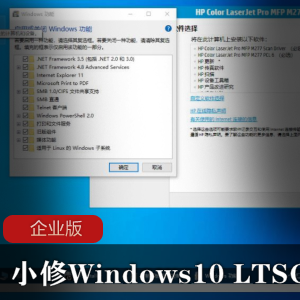 小修Windows10 LTSC企业版