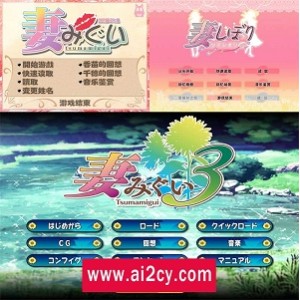 《妻中蜜1-3》汉化版：精美画风，全CG存档，动画包