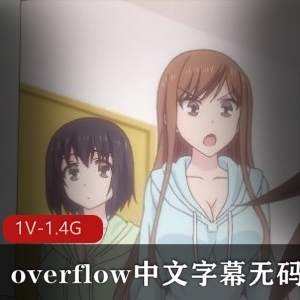 岛国动画片overflow中文字幕无圣光1V-1.4G完整版，家庭乱L剧青梅竹马，无保护进入版，下载观看