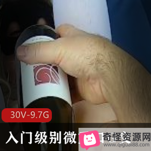 P站MsFine微口味重G交洋马扩张合集30V9.7G资源时长5小时