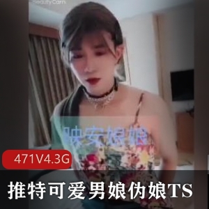 推特男娘TS精品小视频合集471V-4.3G