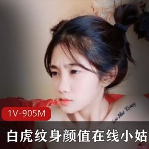 小妻子乔小美人：种族平等爱情故事