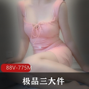 微博B站福利姬精选三大件高颜美腿网红少女身材女仆黑丝YYDS资源