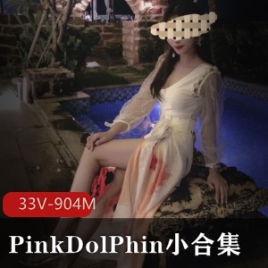 美女PinkDolPhin身材完美33V904M视频合集