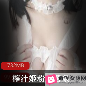 FL榨汁姬粉色薯条视频合集732MB