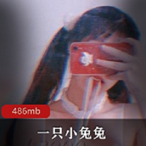 网红小兔兔绝版资源合集，486MB视频惊艳绅士们