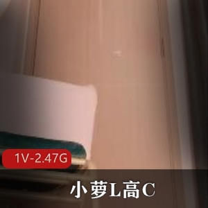 1080P60帧VAM女神安初夏大R小脸蛋绿M情节，时长26分，中文字幕